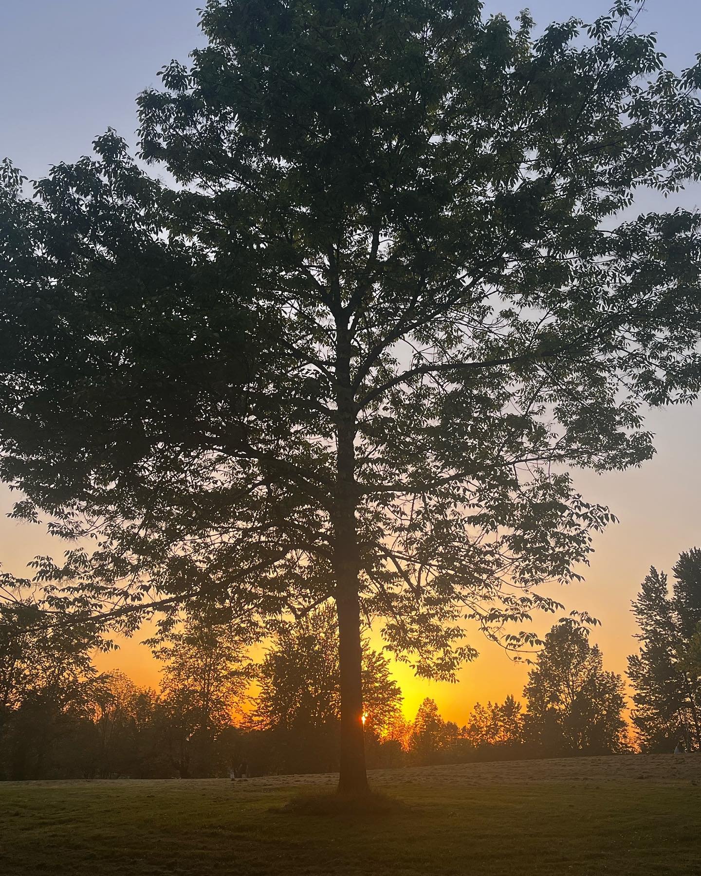 Today is supposed to be one of the luckiest days for manifestation! I&rsquo;m working on something really exciting and can&rsquo;t wait to share it with you! If you are a designer, architect, builder stay connected and sign up for our email (link in 