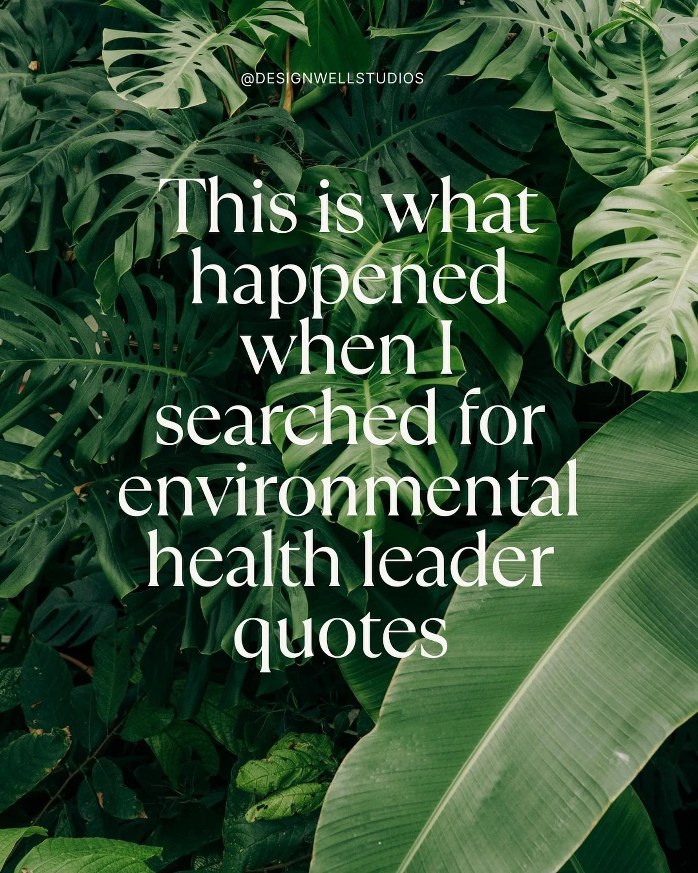 This is what happened when I was searching for an environmental health leader quote for some projects that I am working on. I was humbled and so proud to see my name among some pretty amazing thought leaders and changemakers in the field of environme