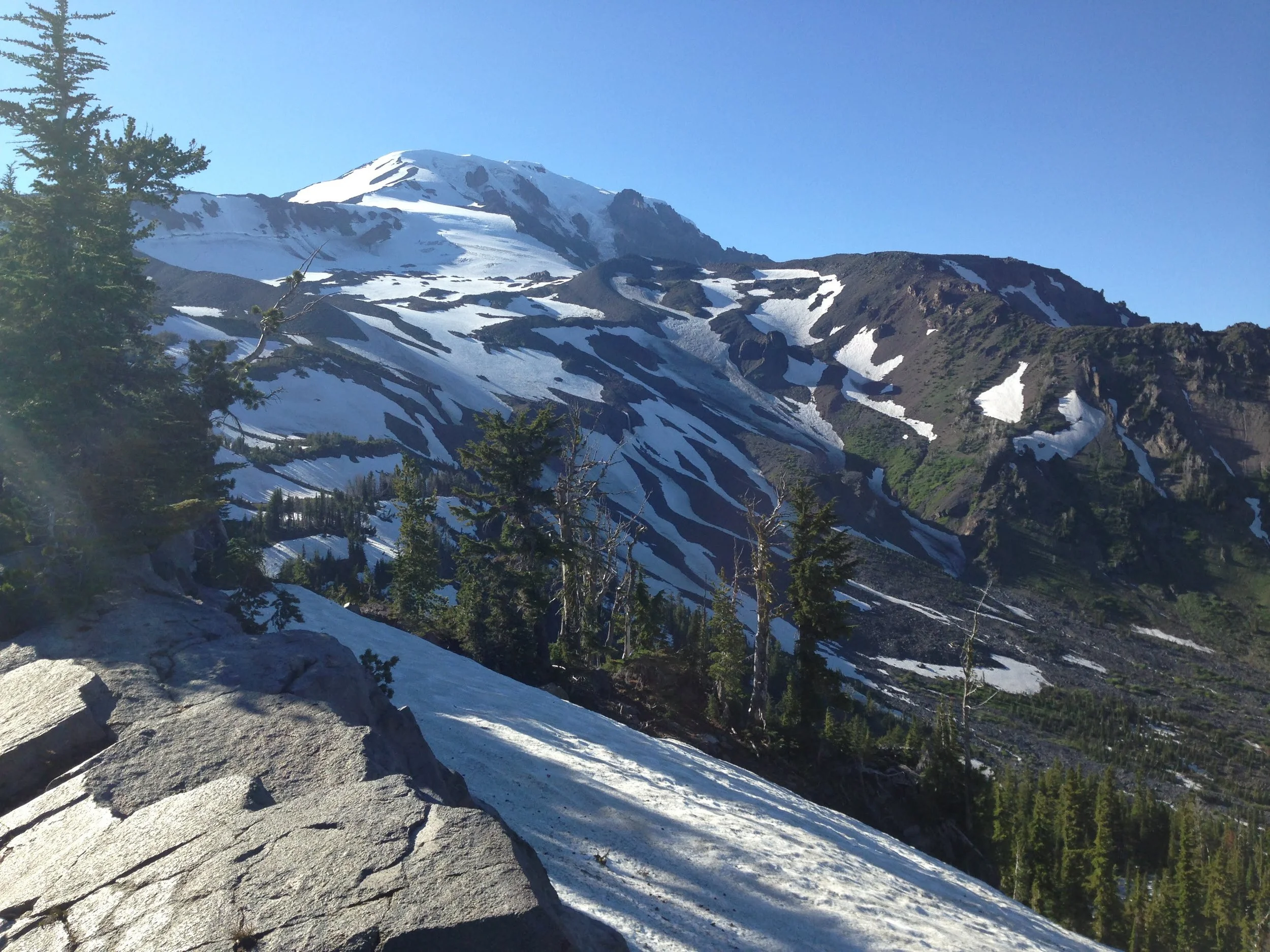 Snow-capped mountain with clear blue sky, surrounded by green pine trees and rocky slopes.