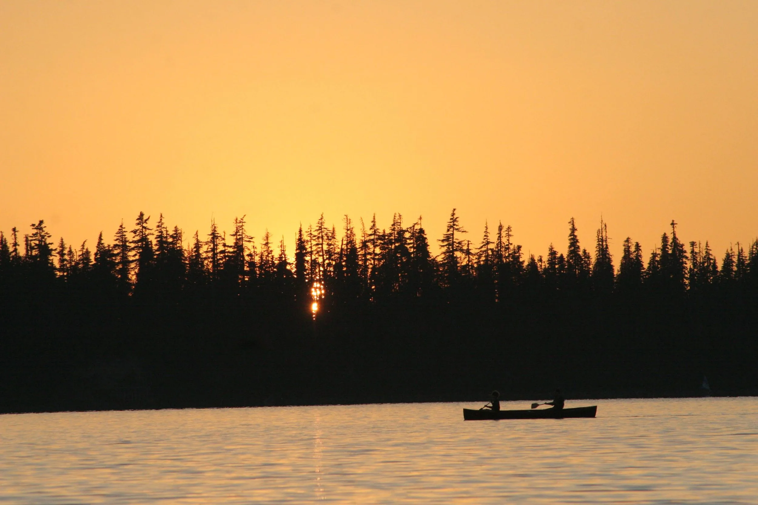 Silhouetted pine trees along a calm lake at sunset, with two people in a canoe on the water.
