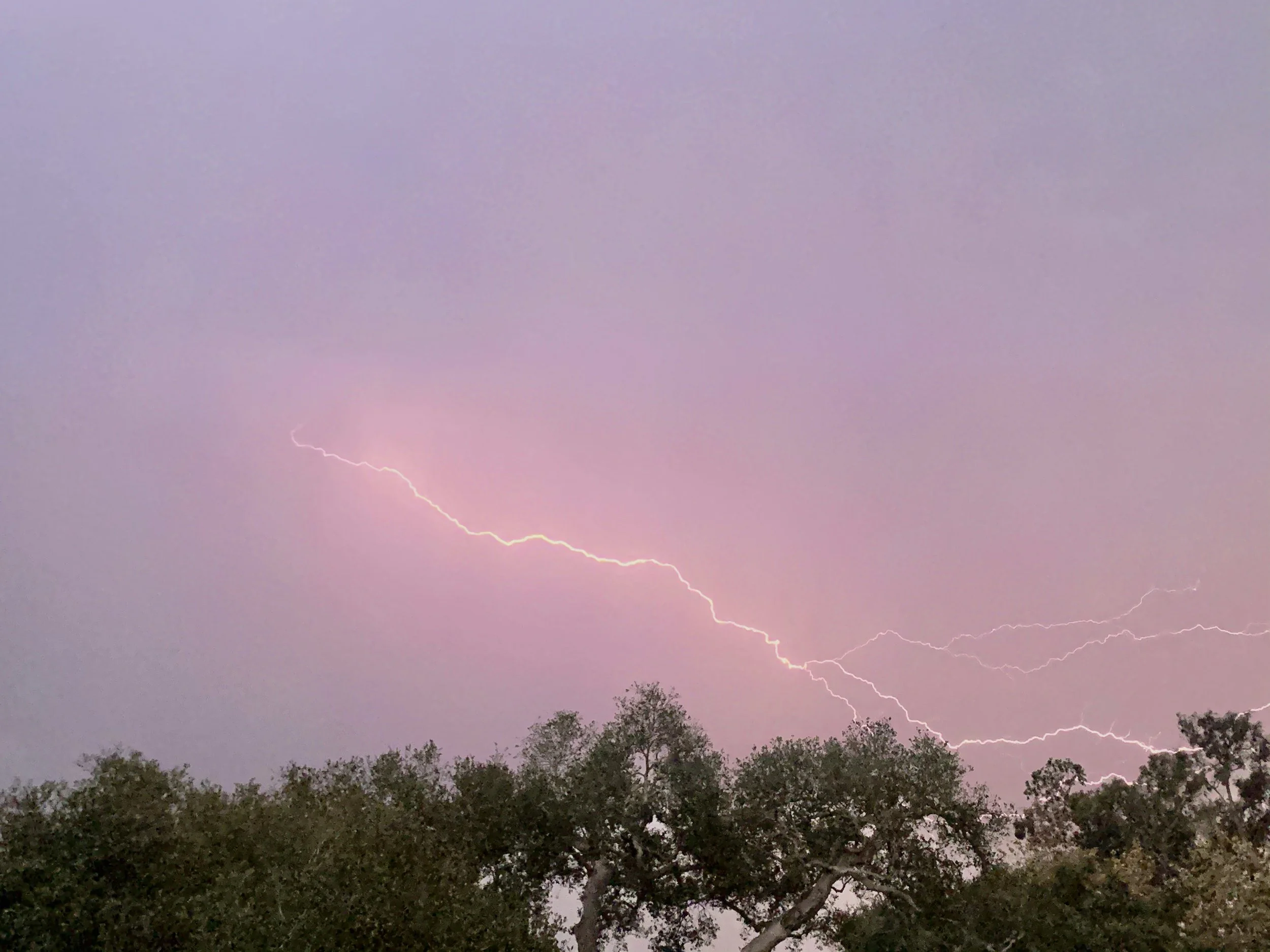 Lightning bolt striking through a purple sky with trees at the bottom.