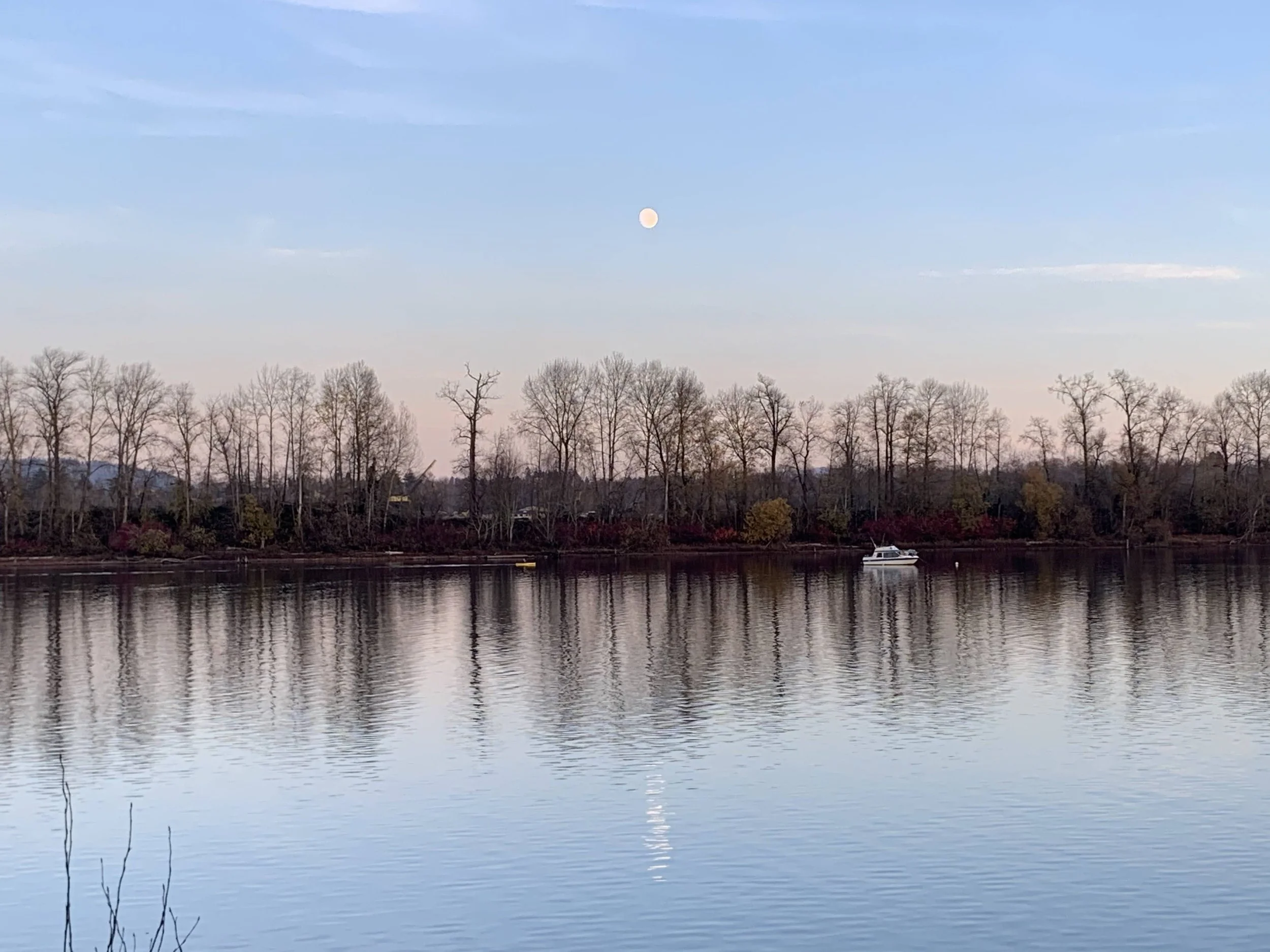 A peaceful scene of a lake with calm water reflecting the sky and trees, with a boat floating on the water and the moon visible in the sky.