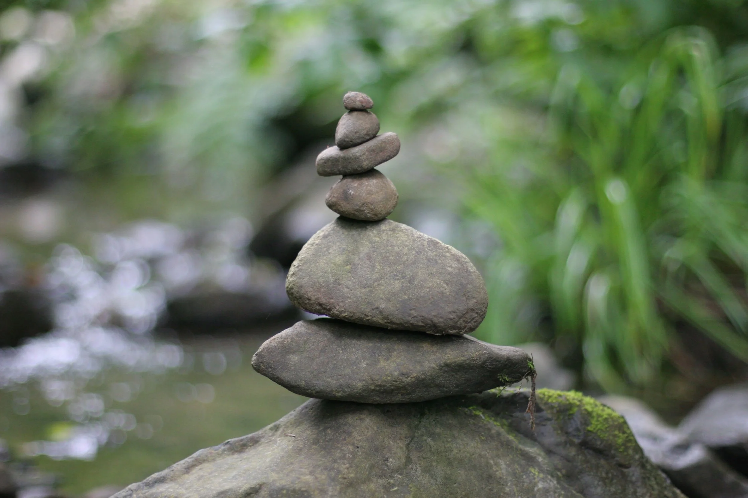 Wellness design studio combining natural materials, environmental health, biophilic design, and healthy-building strategy