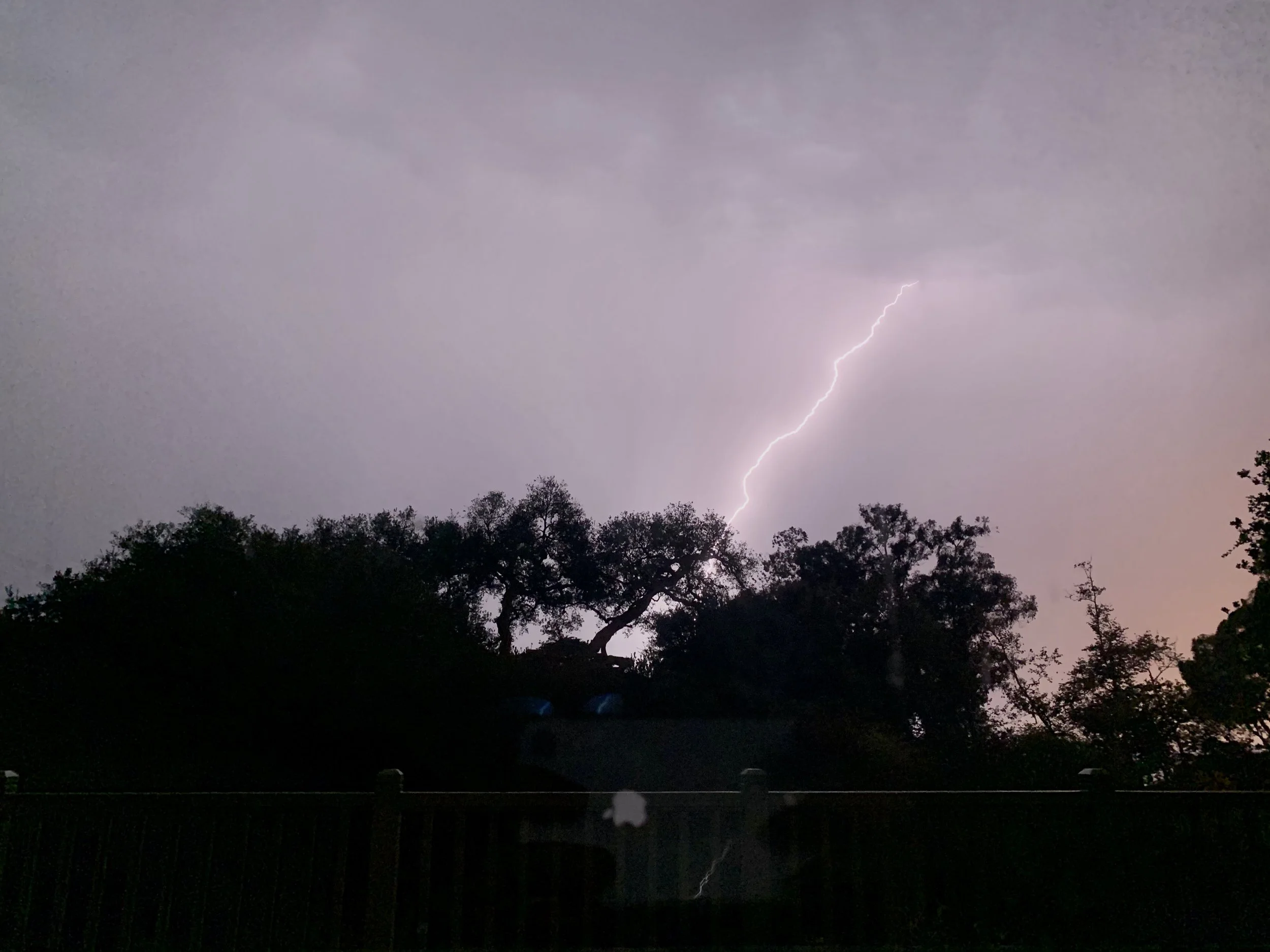 Lightning bolt striking through cloudy sky during a storm over treetops.
