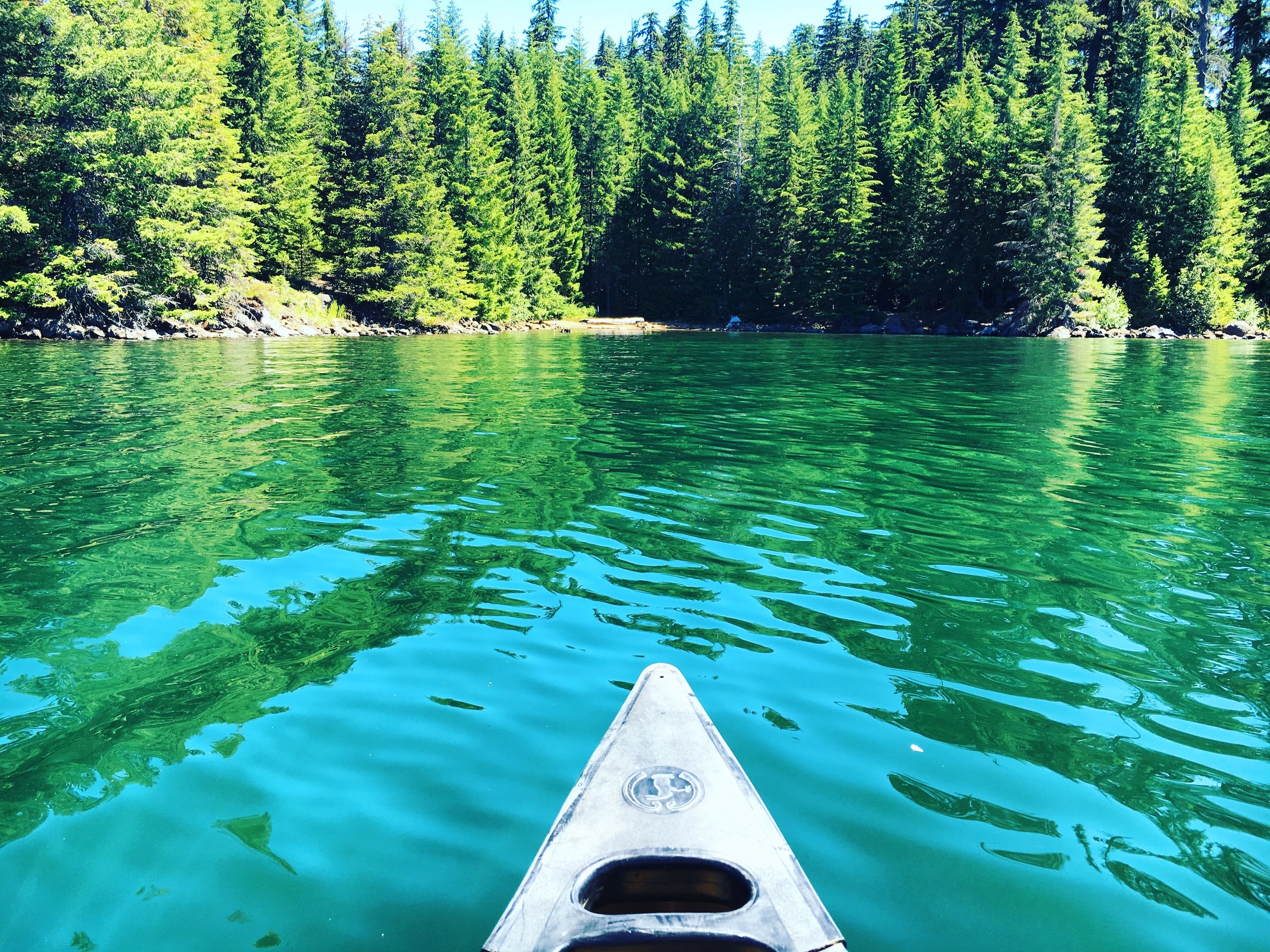 View from a kayak on a calm green lake with a dense forest of pine trees on the shoreline and a clear blue sky overhead.