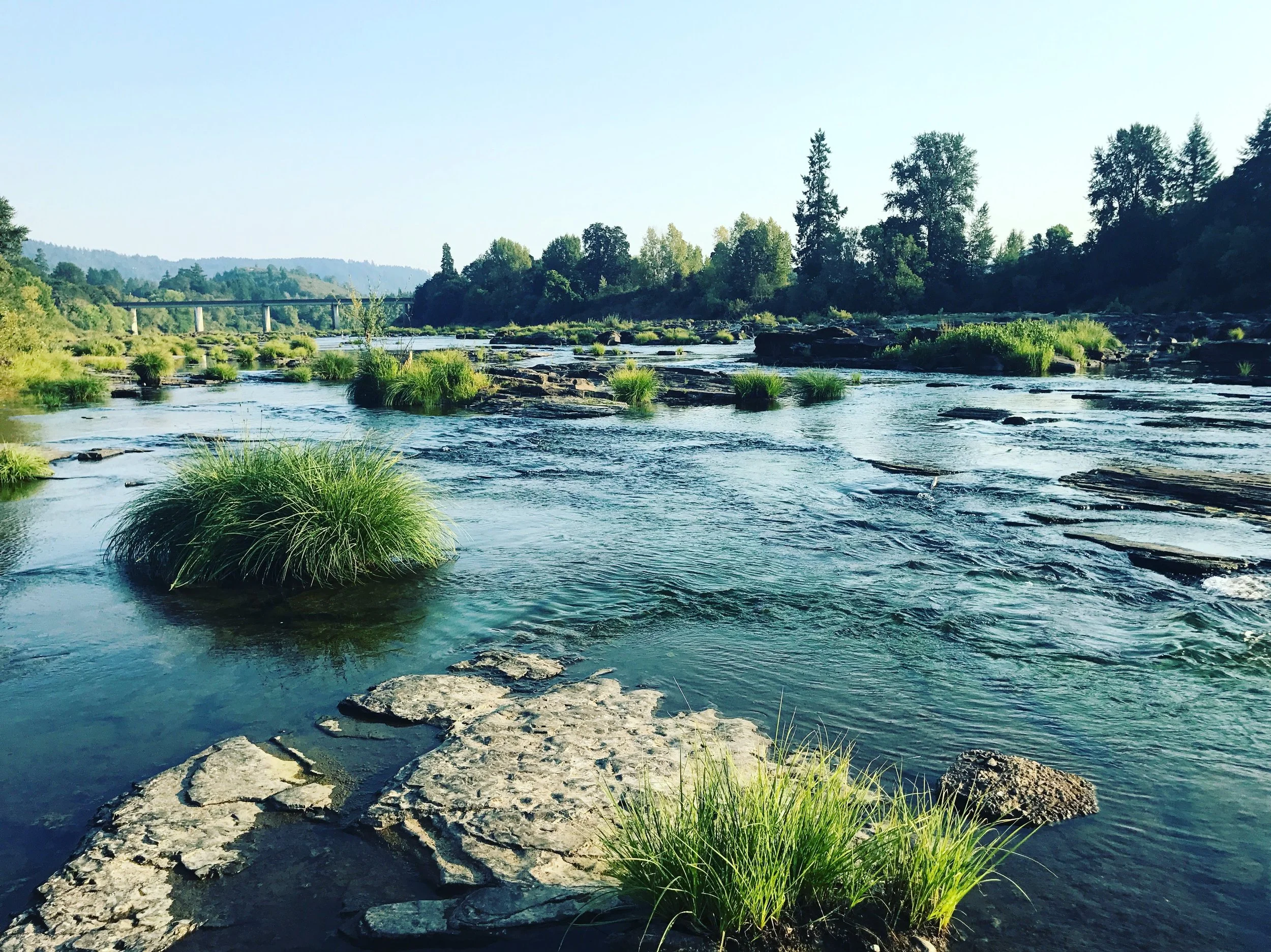 A river flowing through a lush green landscape with trees and rocks, a bridge in the background, and a clear blue sky.