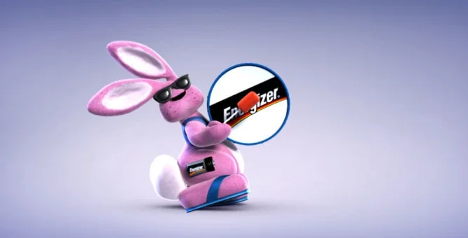 bunny_new_medium-800x340.jpg