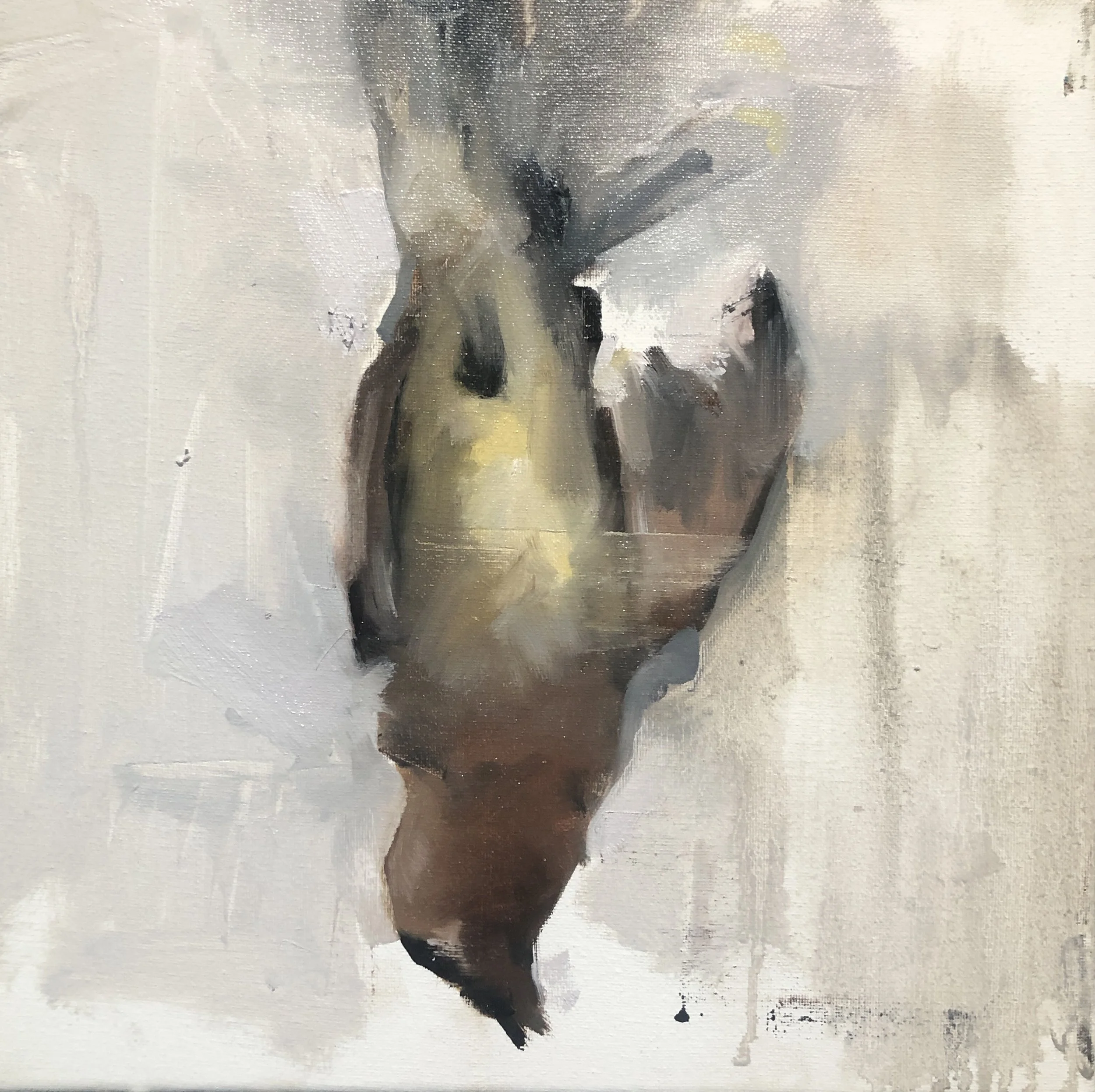 Still Life with Dead Songbird (Cedar Waxwing)