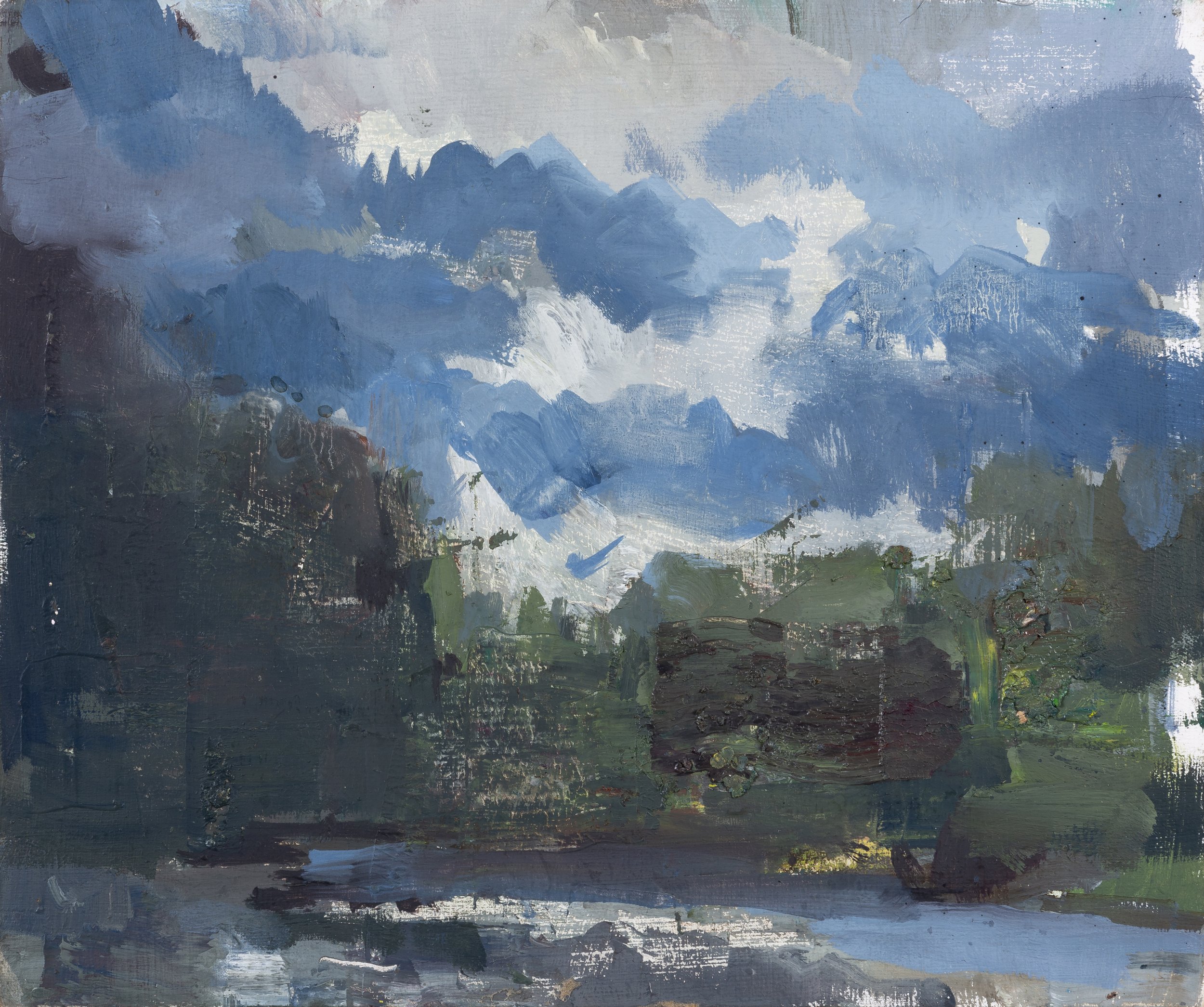"Quinault River Valley"