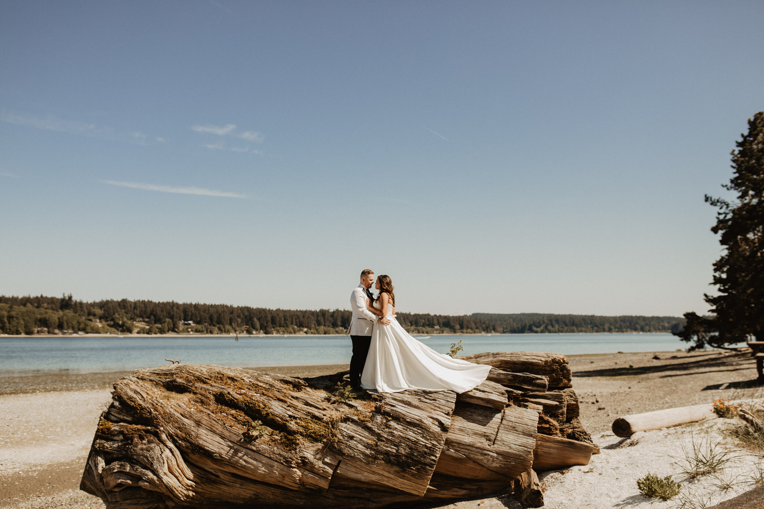 Washington Wedding Photographer-1494.jpg