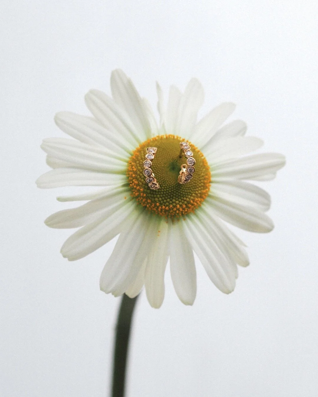 A923094A-B76A-44EE-AF8C-460AA24B7203