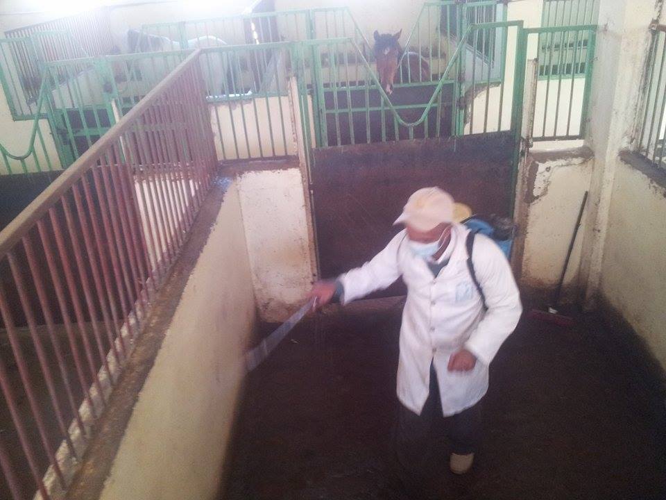 24 Jan Dr Moath disinfects stables The police Academy.jpg