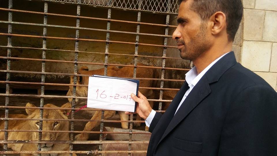 Feb 16th 2017 Kim Michelle's Lawyer Taiz Zoo Yemen.jpg