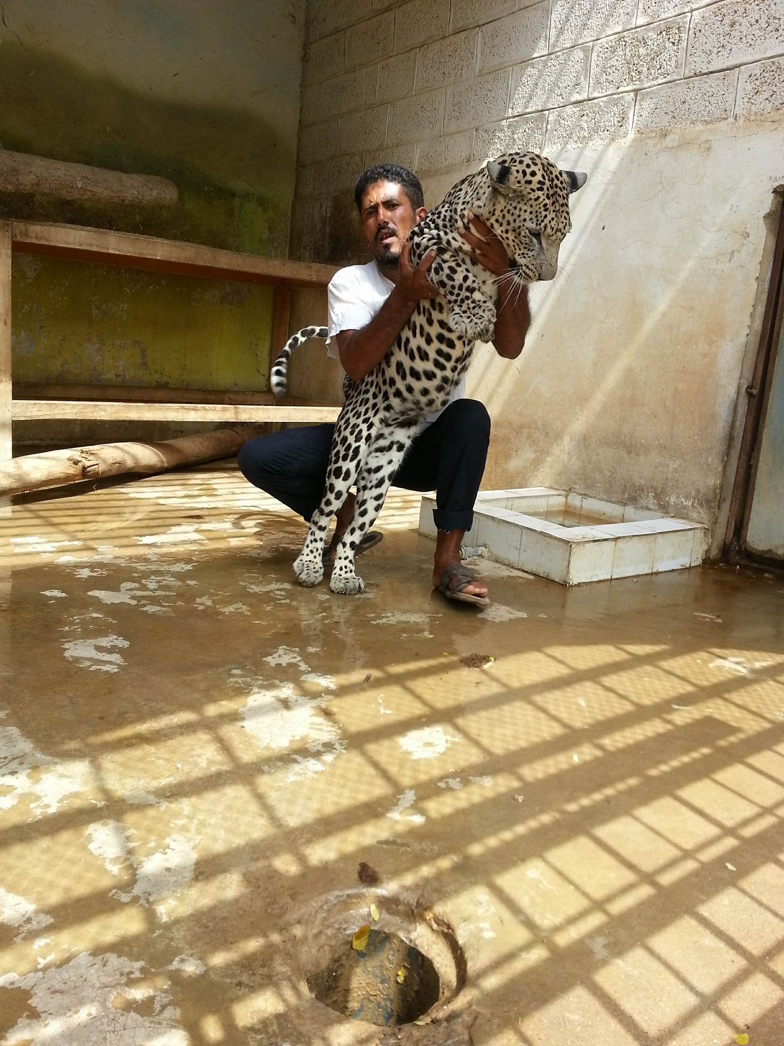 Taiz Zoo Sameer 19 July 2017.jpg