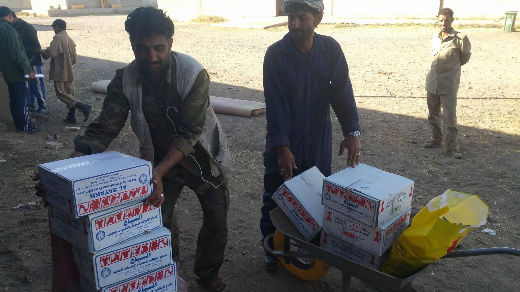 27 december 2016 The Military Academy Sana'a Arabian Police Horses Rescue Mission delivery mineral blocks and meds for Dr Moathj ALMOHAJIRA .jpg
