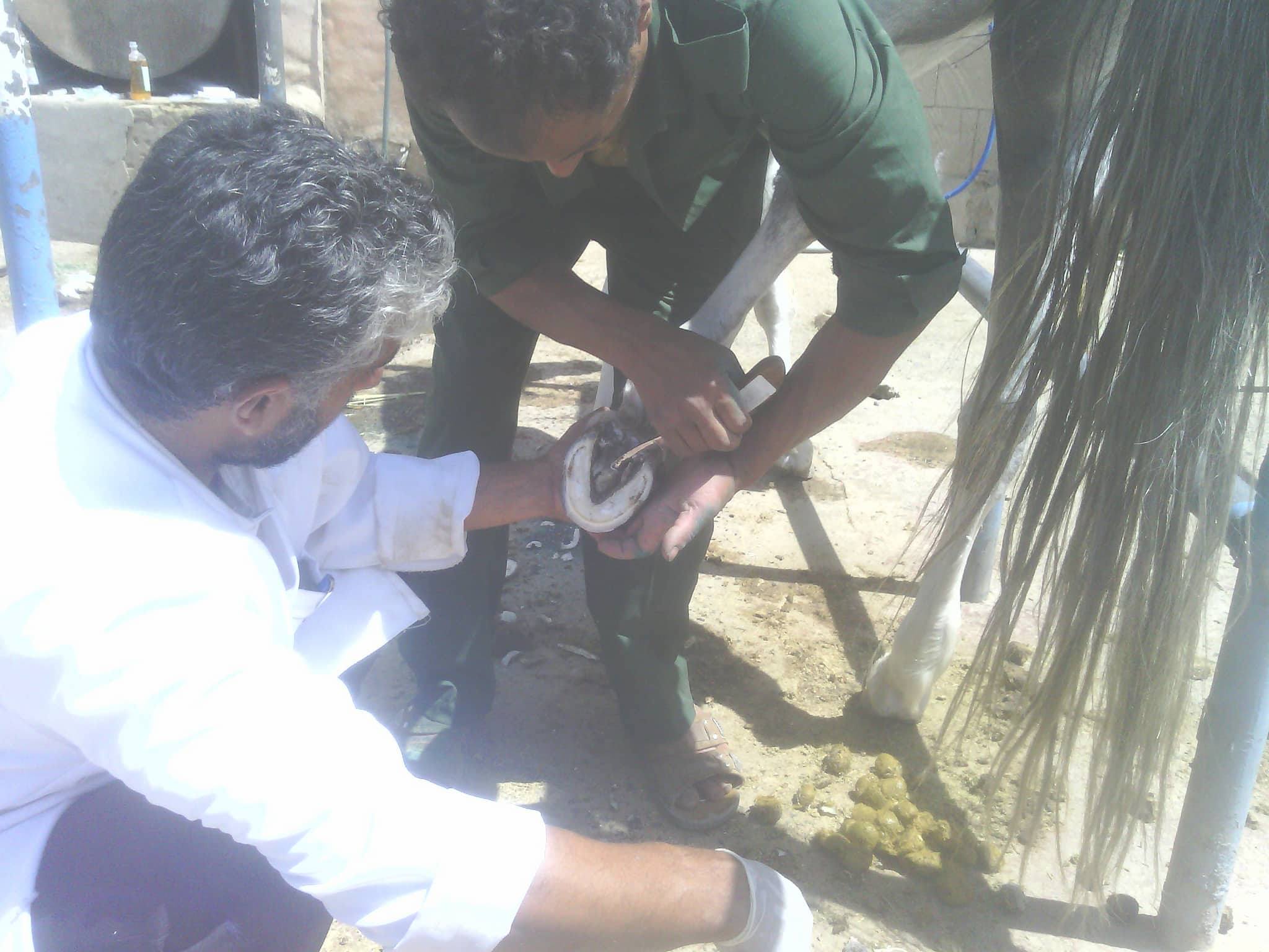arabian withmohammed  tawvil and dr Moshir scraping away the bacteria 17 oct 2017 OWAP AR The Police Ac.Yemen.jpg