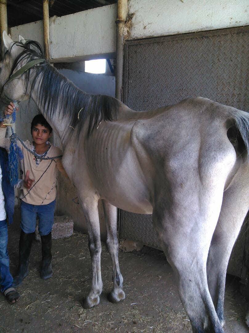 Dhamar with child 4 dec 2017 OWAP AR.jpg