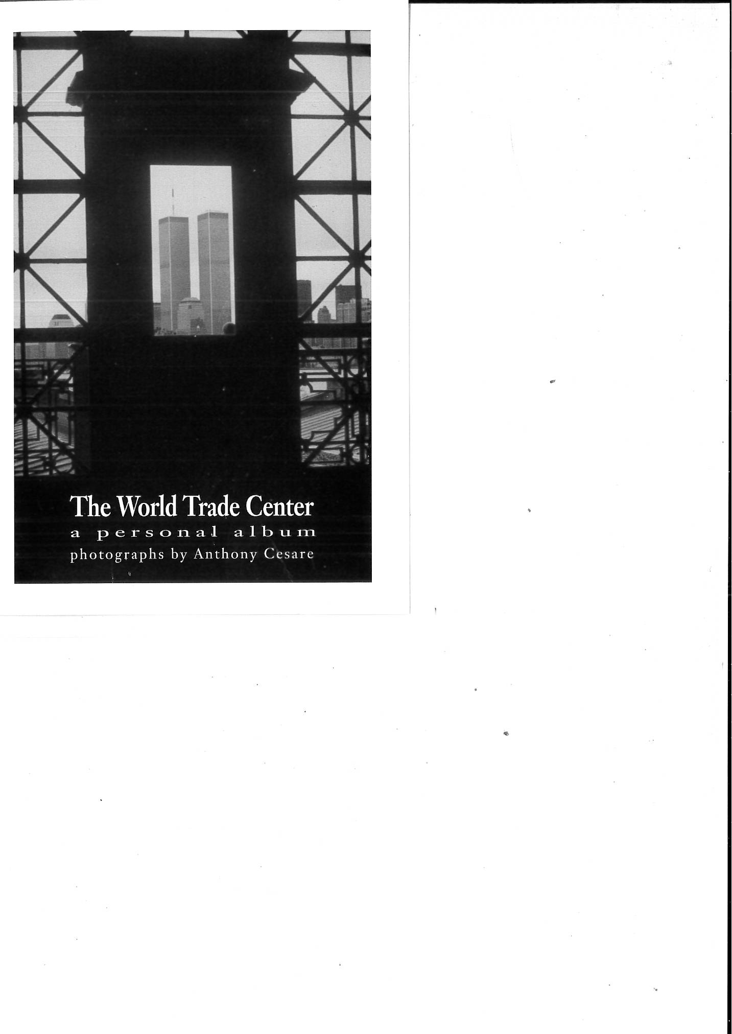 owap exhibit of tony cesare's photos of WTC postcard intro.jpg