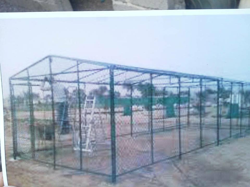 ibb zoo caracal release to new enclosure building project OWAP AR Haitham coywrite.jpg