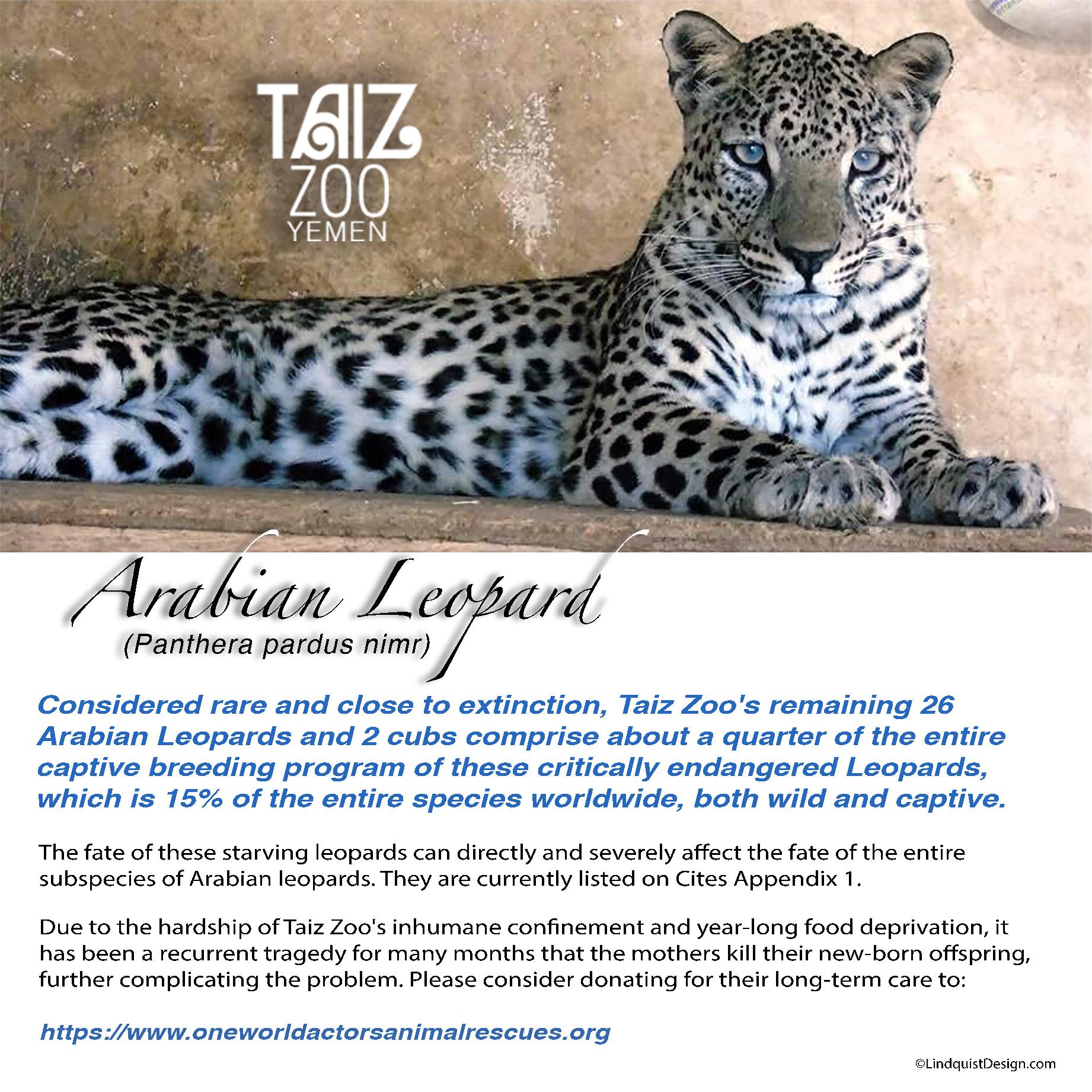 Arabian Leopard correct spelling Taiz Zoo flyer OWAp-AR with website.jpg