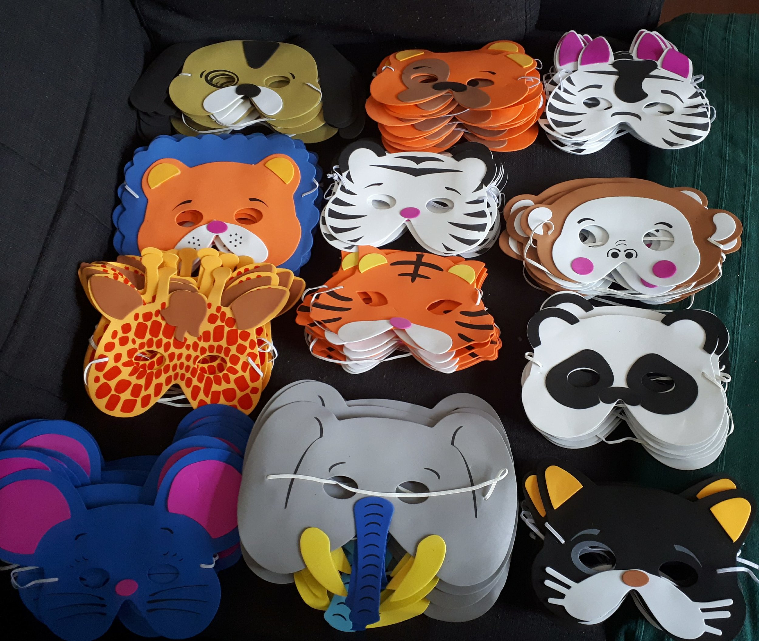 colchester kids animal masks for Charity Ball OWAP AR.jpg