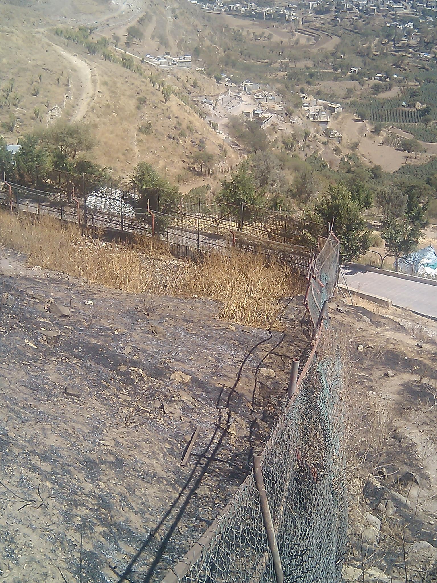 IBB ZO O LIONS OPEN RANGE enclosure with fecning to be repaired 17 FEB 2018 HAITHAM engineer.jpg