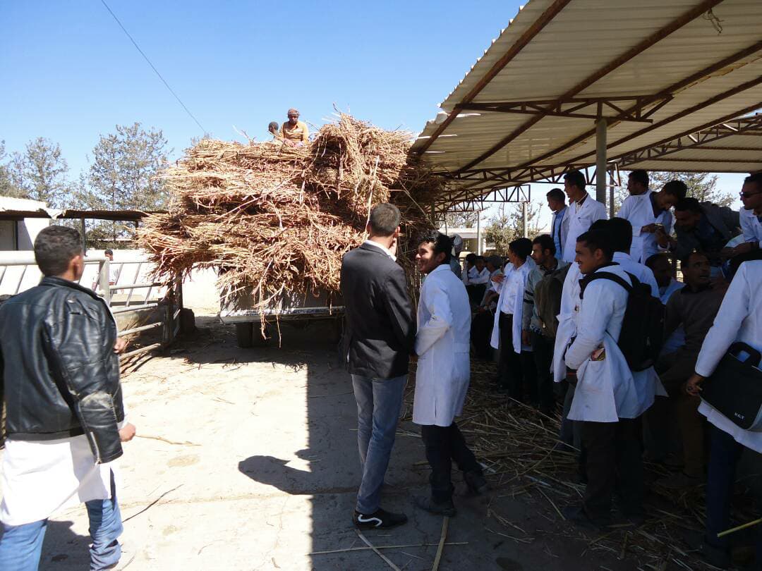 dhamar food delivery offering by Head of Vet Dept Thamar Uni  Rosabah Farm pic Dr Al garadi for OWAPAR 20 jan 2018.jpg