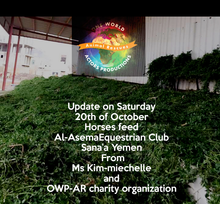 riding club 20 oct 2018 OWAP AR delivery of grass for horses nada coordinating Sana'a YEMEN rescue.png