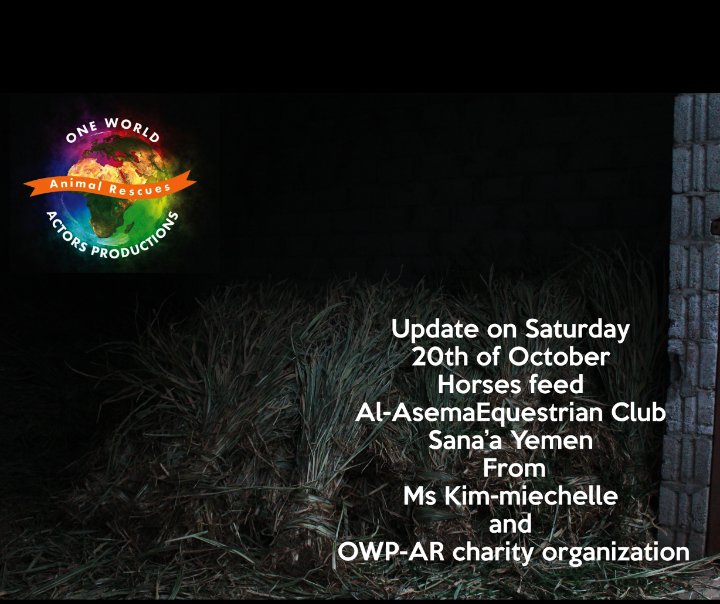 Riding OWAP AR providing 20 oct 2018 Nada pic Rescue Horses Sana'a yemen.png