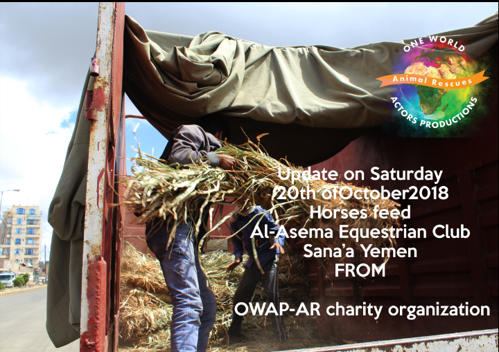 riding delivery 20 OCT 2018 correct date nada cane for horses sana'a by OWAP-AR providing.png