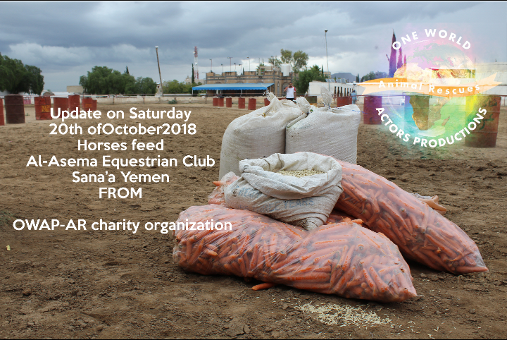 riding correct date year 20 OCT 2018 THE CLUB EQUESTRIAN Sana'a nada grains, dates and carrots for the Horses ..by OWAP-AR Charity.png