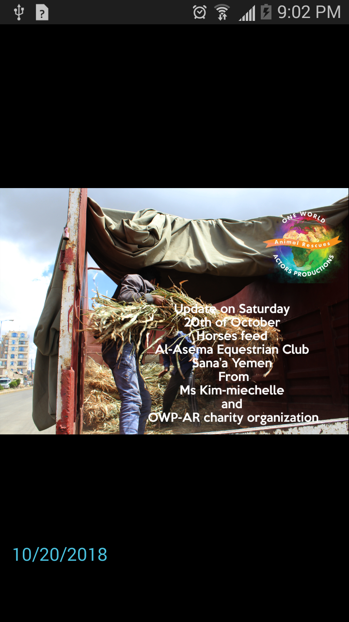 Riding Club Sana'a 20 OCT 2018 delivery arrives Horses feed by OWAP-AR Nada.png