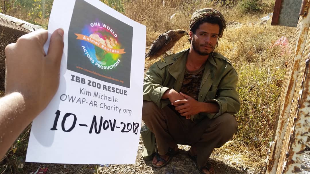Ibb Zoo Abdulrazak with eagle OWAPAR 10 NOV 2018 we feed the 2 hawks...yemen rescue.jpg