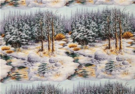 CHRISTMAS with TERA INTERNATIONAL for the animals