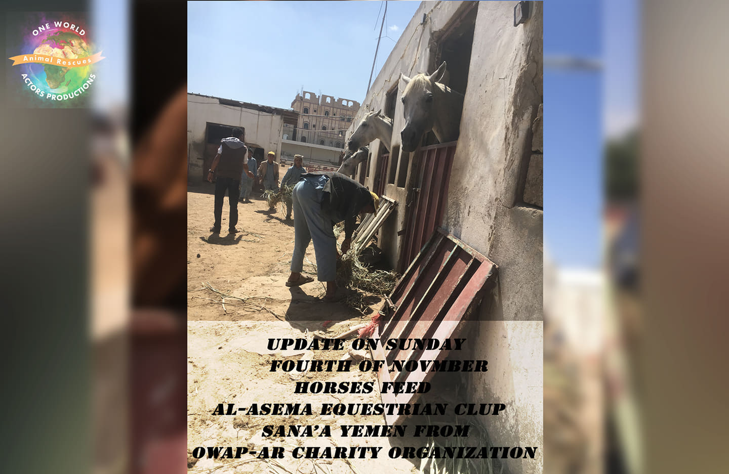 ridin distribution of OWAP AR fodder green persim delivered today by Nadad 4 Nov 2018 sana'a yemen rescue.jpg