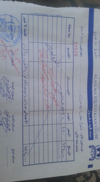 riding 4 NOV 2018 receipt to OWAP-AR paid sanaa club equestre yemen rescue.jpg