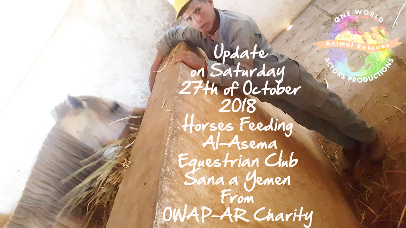 riding club feeding our delivery today 27 OCT 2018 Sana'a yemen by OWAP AR Nada pic  boy 1 of 14 working.jpg