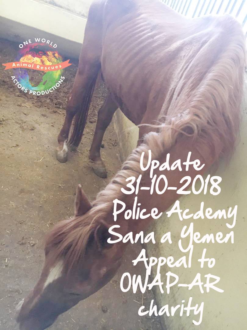 police academy sana'a yemen for OWAP AR N.P. pic Nada starving horse 31 OCT 2018 with text.jpg