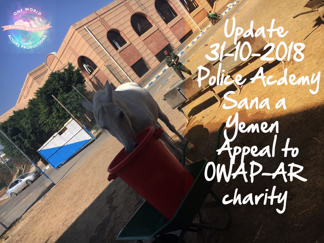 police ac horse drinking nada pic with text 31 OCT 2018 for OWAP-AR visit today.jpg