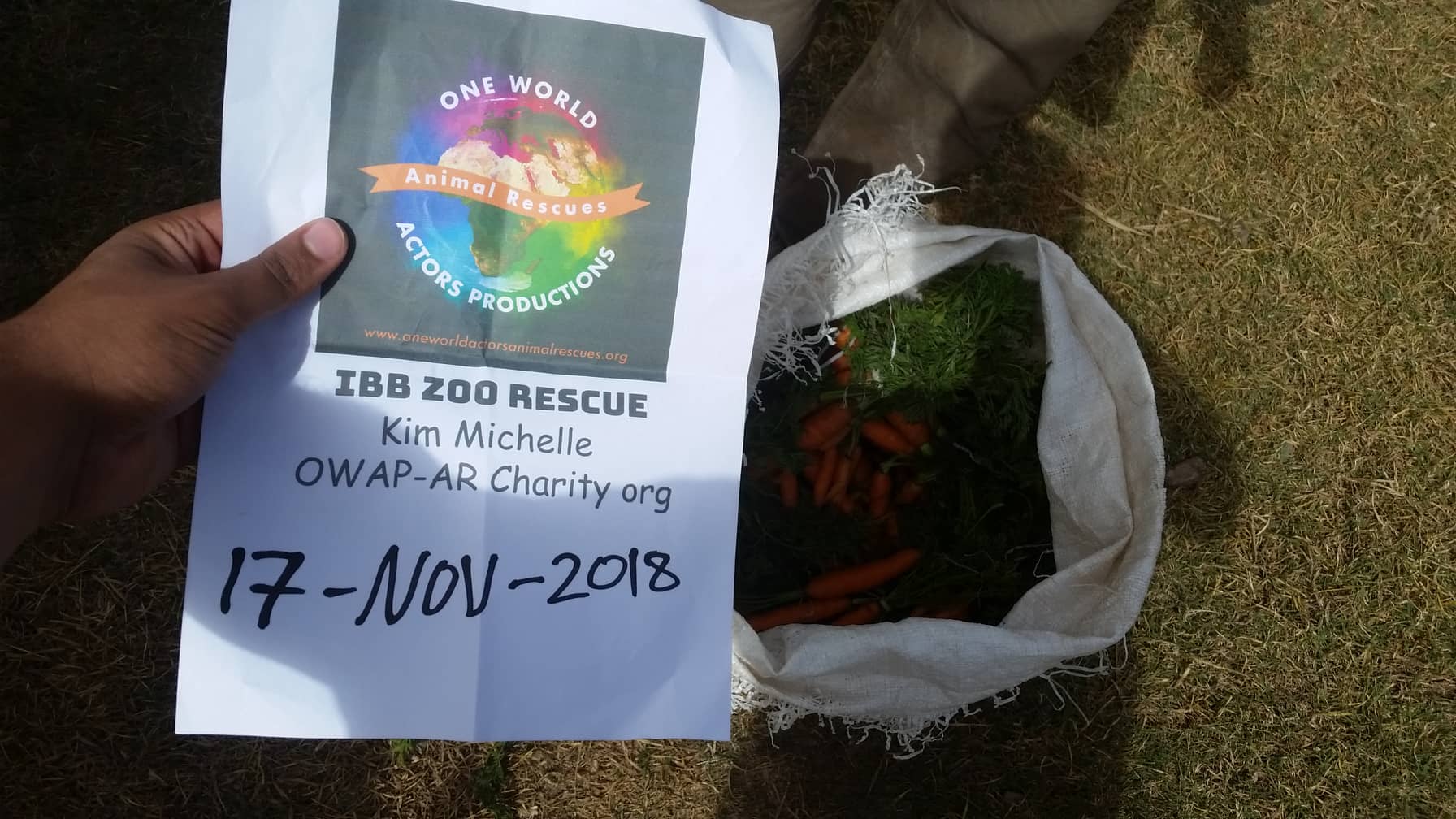 ibb 17 nov 2018 carrots delivery by Hisham for OWAP AR with our sign yemen zoo rescue.jpg