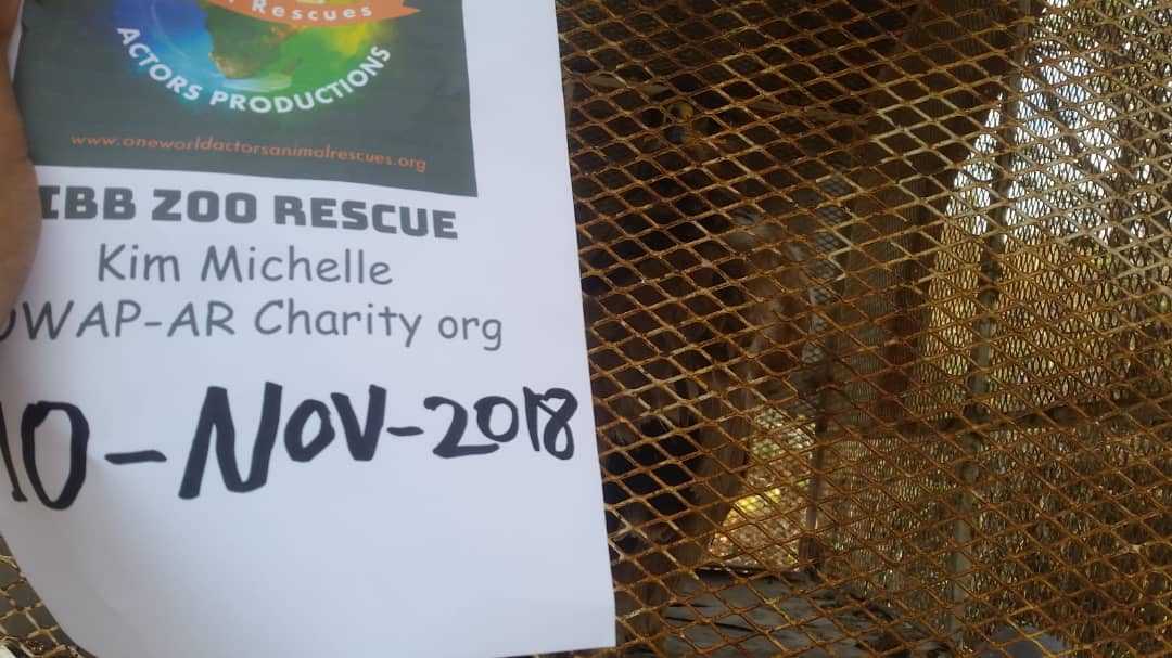 IBB ZOO WITH OWAP AR SIGN EAGLE 10 NOV 2018 HISHAM FEEDING YEMEN RESCUE.jpg