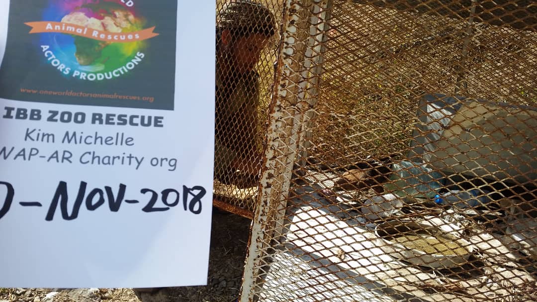 ibb zoo by OWAP-AR Abdul razak placing food and water for 2 eagles 10 NOV 2018 Hisham media.jpg