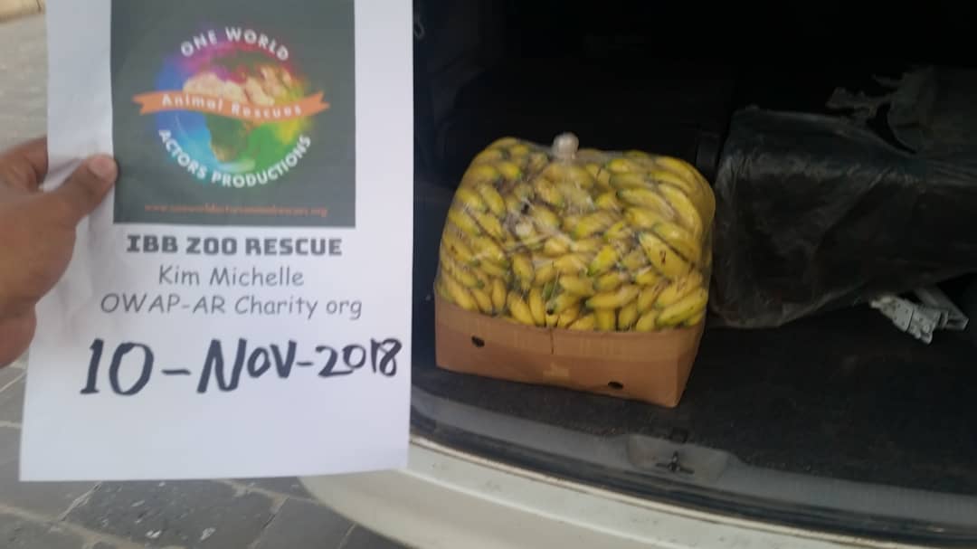 ibb zoo bananas in car delivery by OWAP-AR 10 NOV 2018 hisham filming and coordi nating.jpg