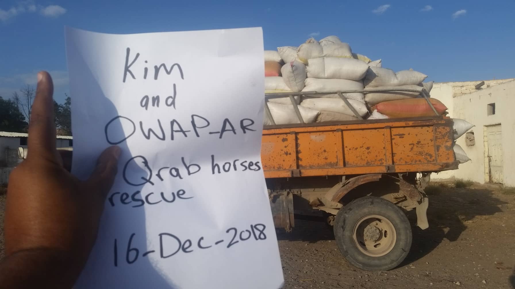 Q'rab 16 DEC 2018 horse rescue dhamar by OWAP-AR with our sign by Hisham Zabedi delivery.jpg