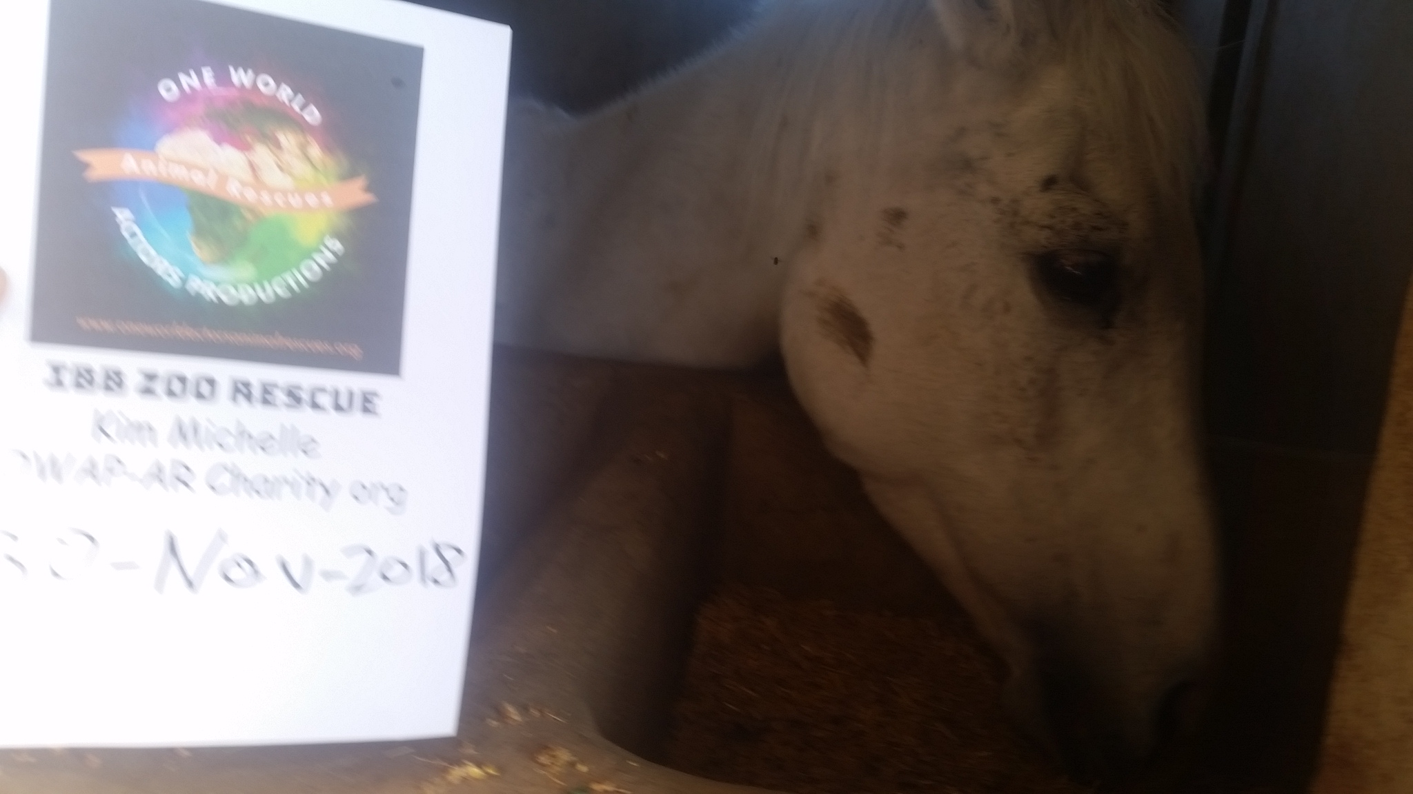 qrab 30 NOV 2018 OWAP-AR horse rescue eating right date wrong sign name.jpg