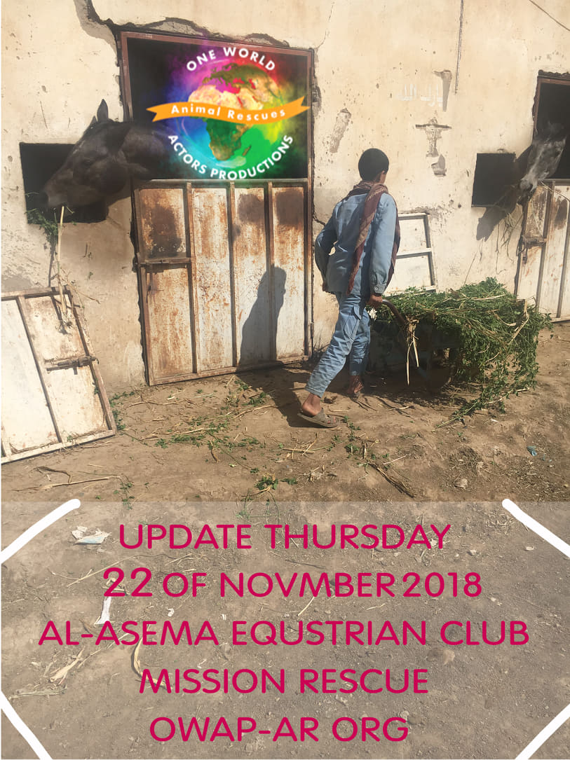 riding equestrian club 22 NOV 2018 delivery and distrib. fodder by nada for OWAP-AR.jpg