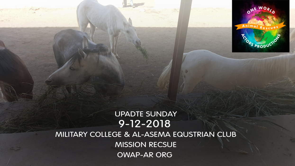 military DEC 9 2018 by OWAP-AR provider nada sana'a yemen rescue.jpg