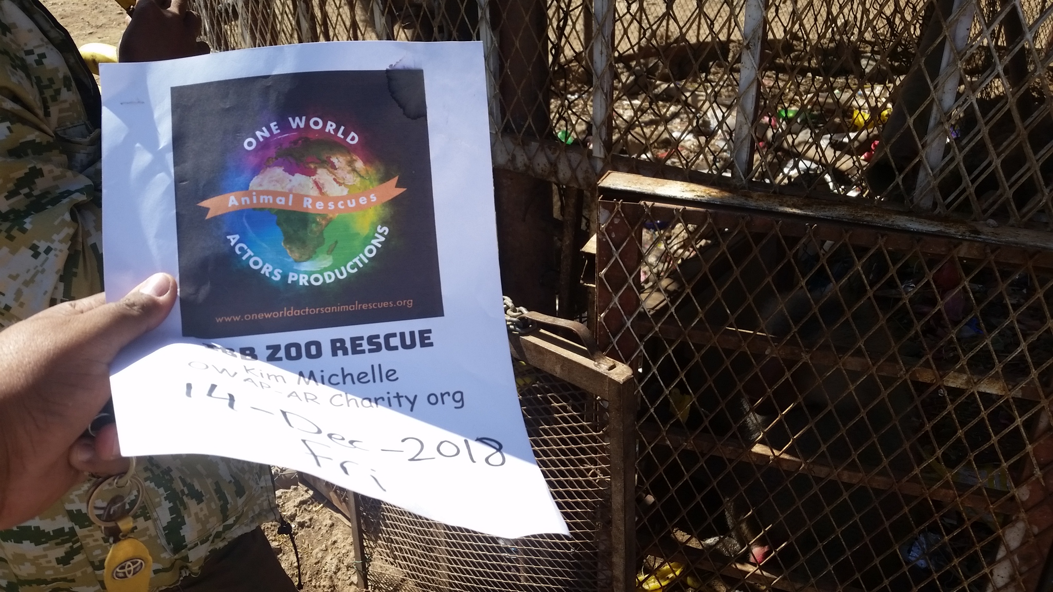 ibb zoo 14 DEC 2018 baboons feeding fruit by OWAP-AR with our sign Hisham cordinating yemen zoo rescue.jpg