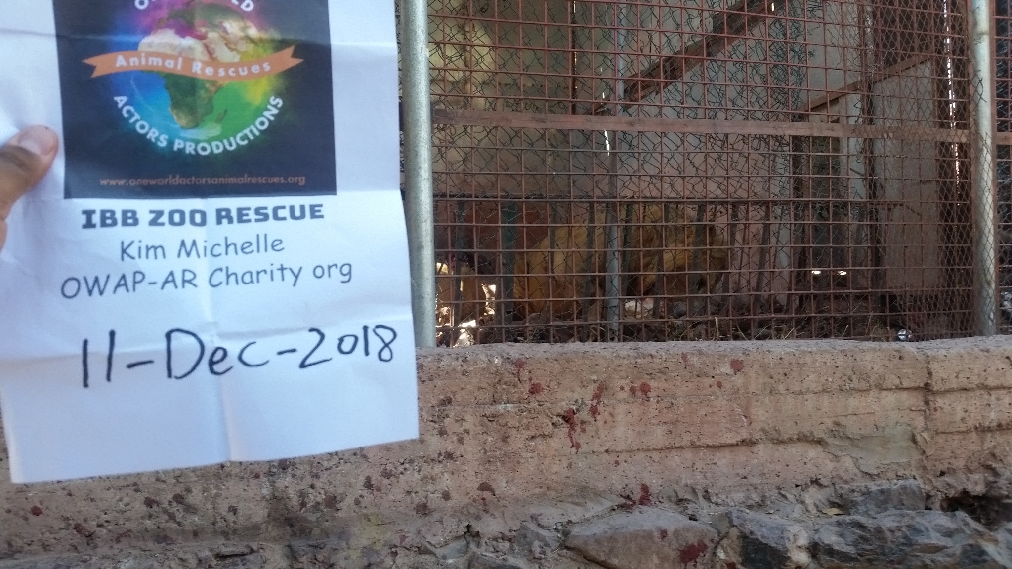 ibb zoo dec 11 DEC 2018 by OWAP AR our lions with our meal hisham pic with sign.jpg