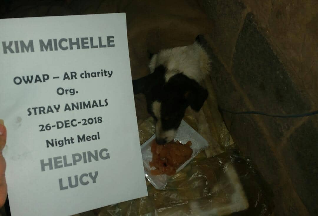 Lucy night meal 26 DEC 2018 OWAP AR sign.jpg